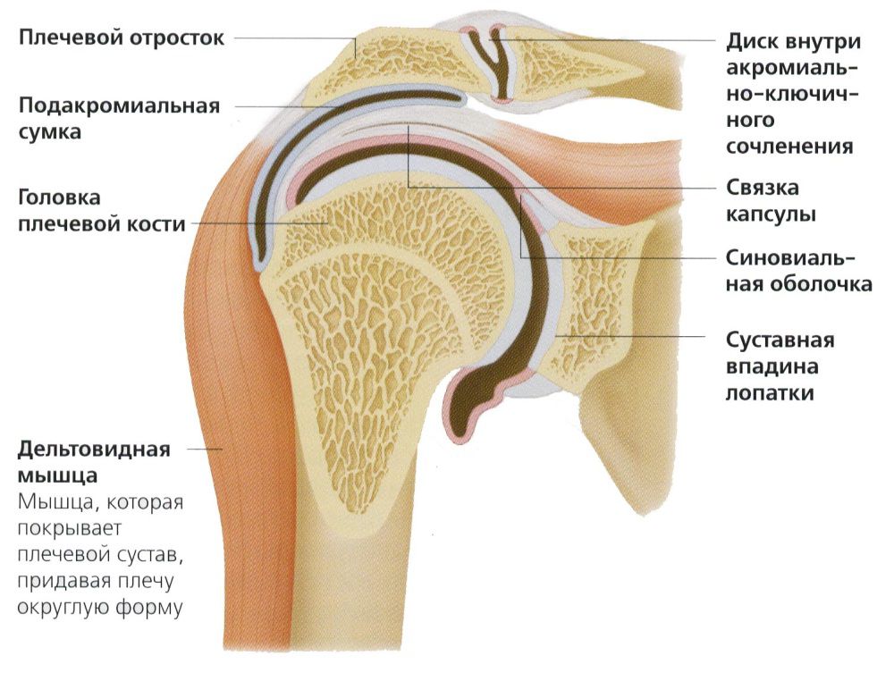 zašto postoji bol u ramenskom zglobu tretiranje artroza sklop