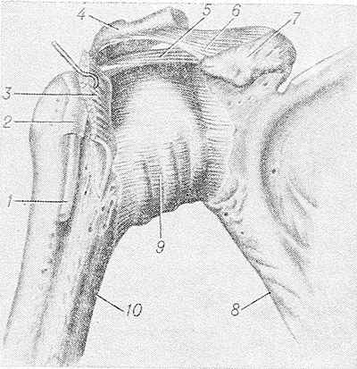 a csuklóízület 1. fokozatának artrózisa